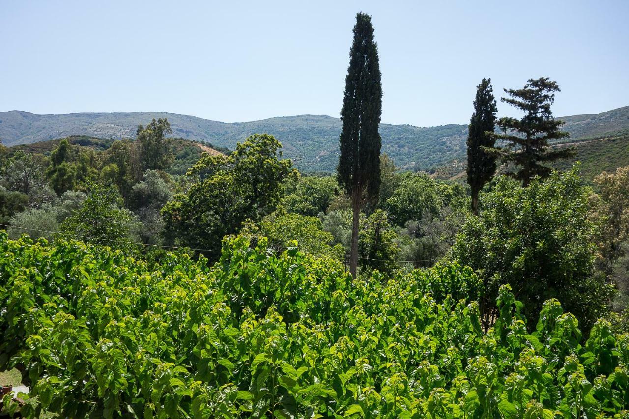 Kántanos Guesthouse Dramoundana מראה חיצוני תמונה