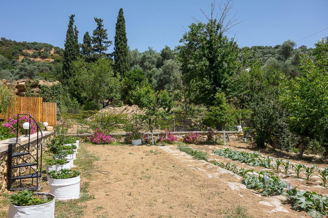 Kántanos Guesthouse Dramoundana מראה חיצוני תמונה