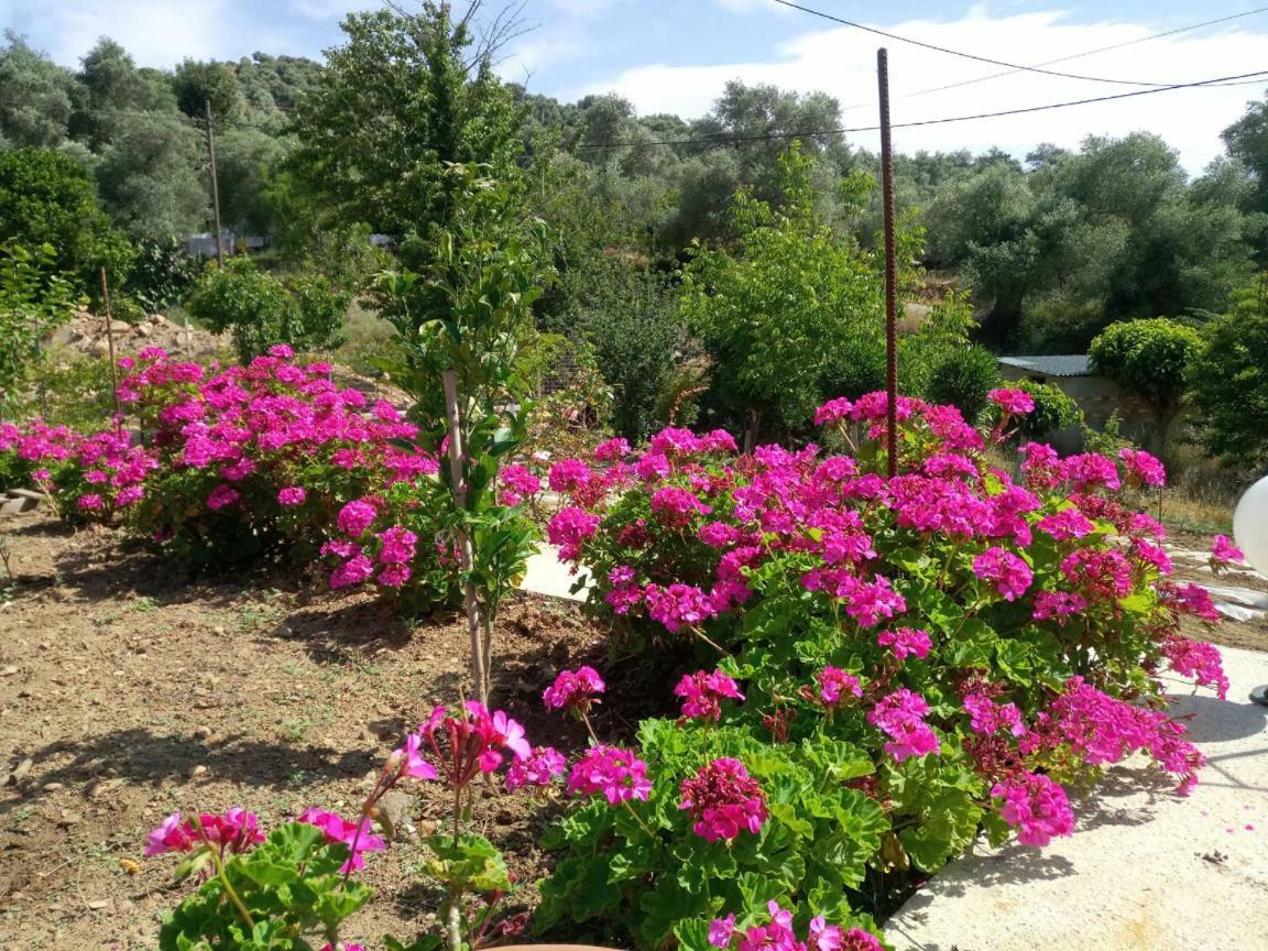 Kántanos Guesthouse Dramoundana מראה חיצוני תמונה